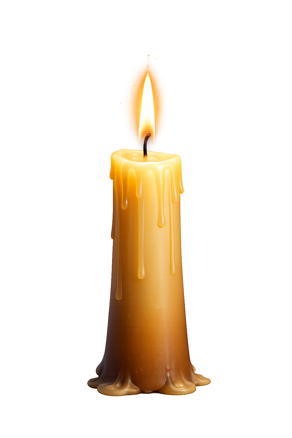 Candlewise candle logo